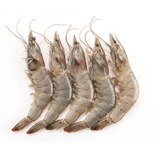 Frescamar Raw Head On Frozen Shrimp 2kg