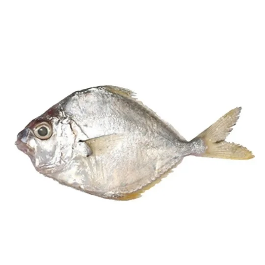 Seafood Delight Frozen Fresh Silver Belly Head On Pan Ready 700g