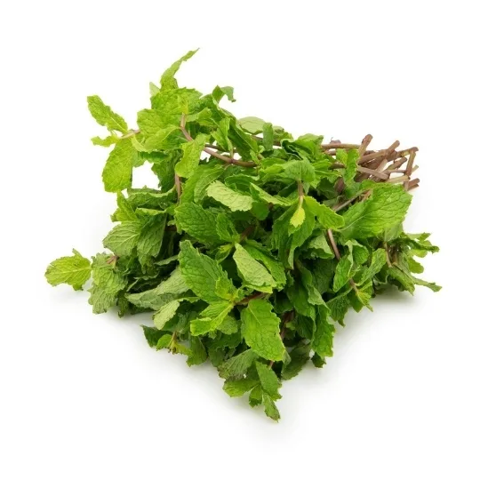 Mint Bunch