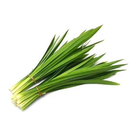 Ramba/ Pandan Leaves 5 for