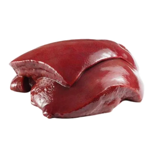 Baffalo Liver