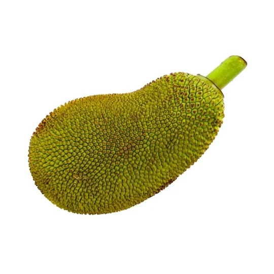 Tender Jackfruit