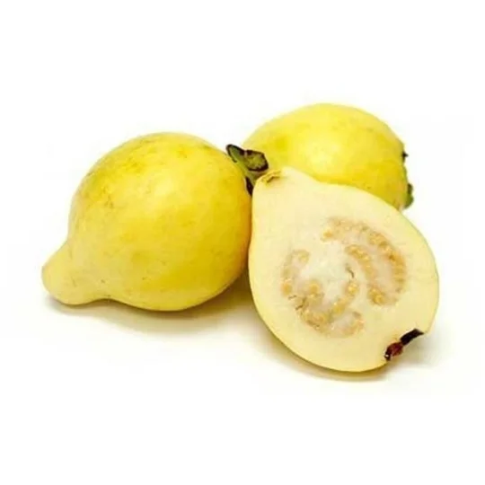 Egyption Guava